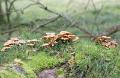 bd_DSC00203 (2)